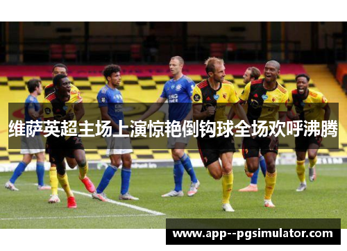 维萨英超主场上演惊艳倒钩球全场欢呼沸腾